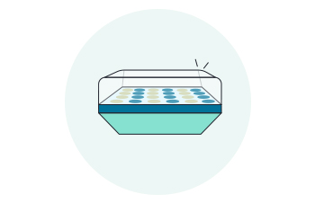 Propagation