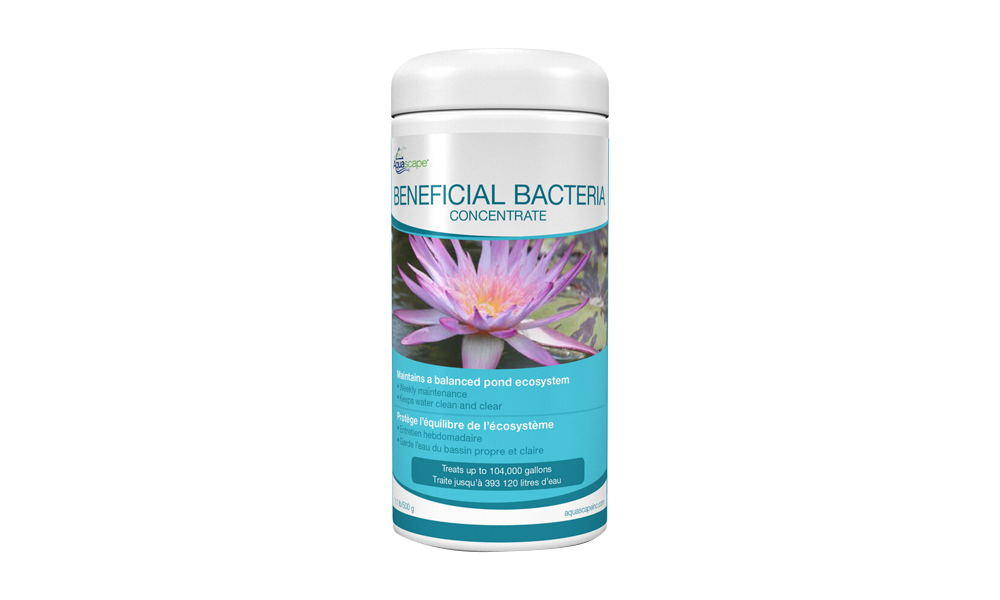 Beneficial Bacteria for Pond