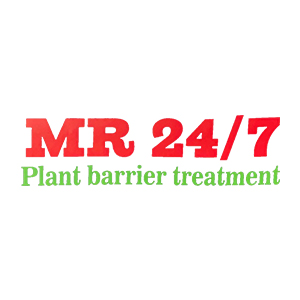 MR 24/7