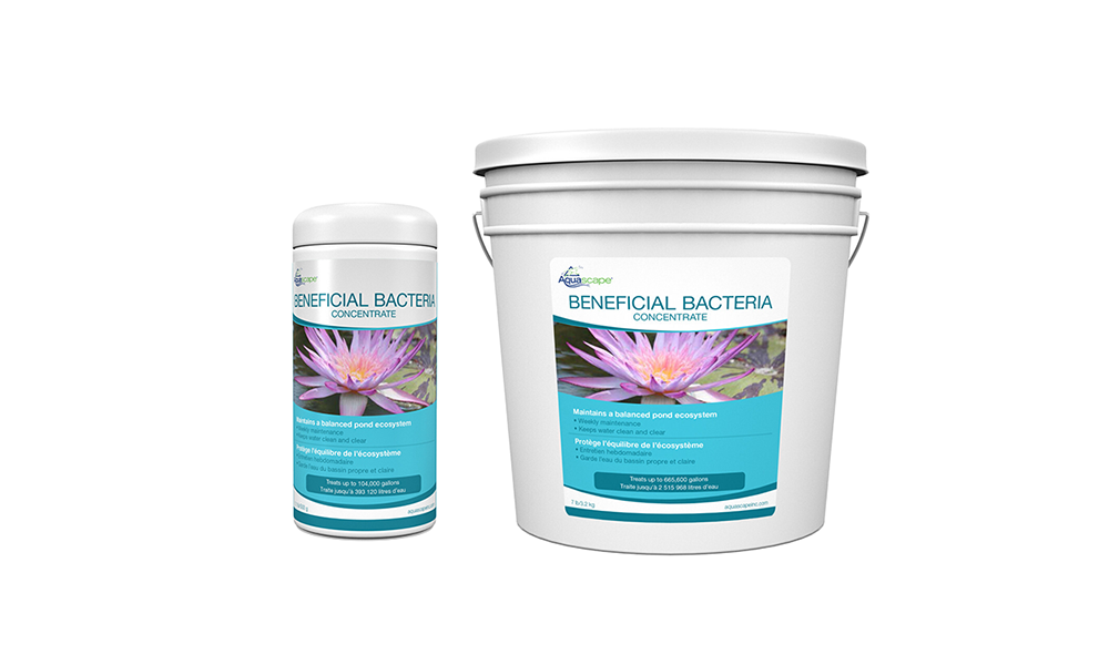 Pond Maintenance & Treatments