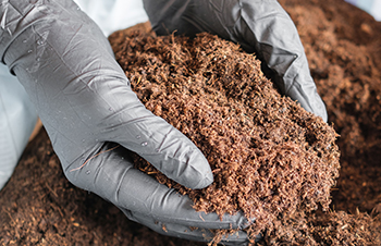 How to Use Soil Amendments-Sphagnum Peat Moss
