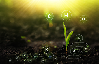 Hydroponic Micronutrients - The definitive guide