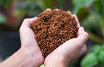 Why you need Cal-Mag in Coco Coir?