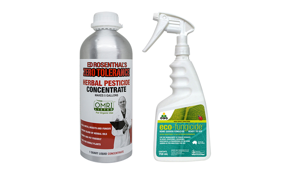 Insect & Disease Control