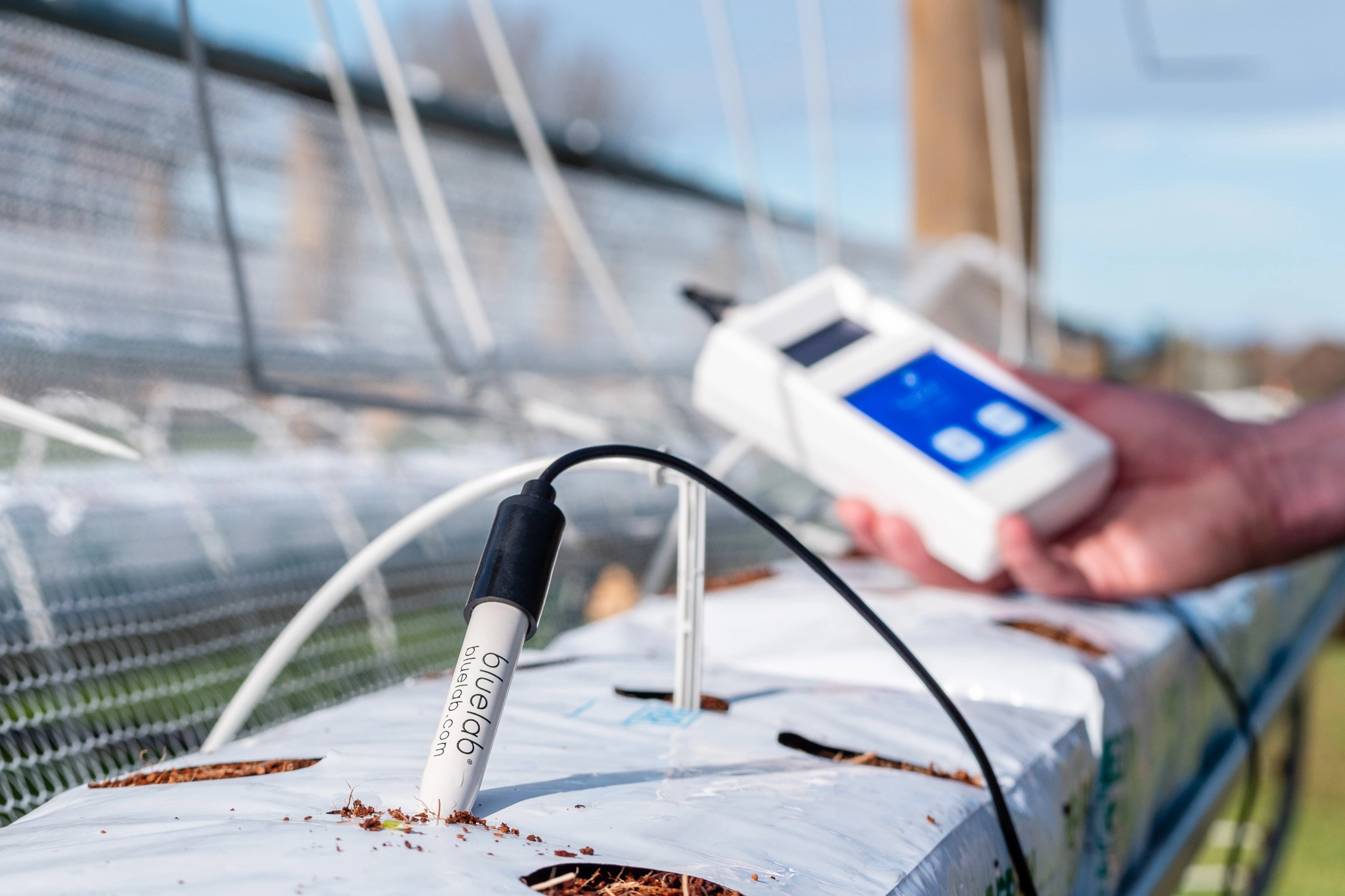 The Ultimate Guide to pH and EC Pen Calibration and Maintenance in Australia