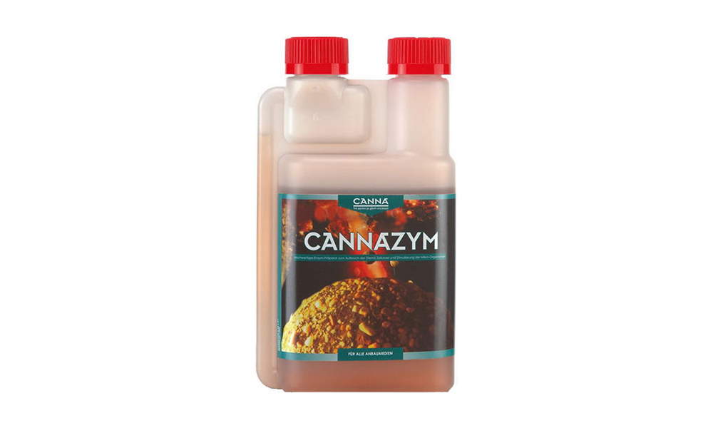 Enzyme