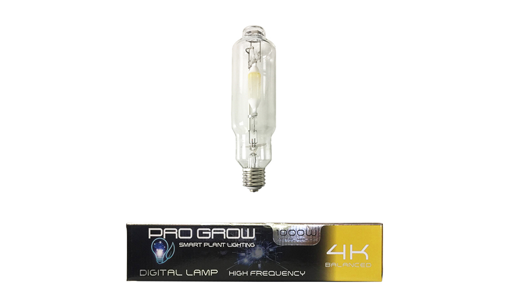 Metal halide (MH) Lamps