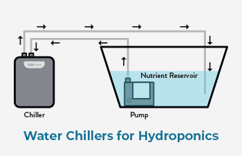 The Benefits of Water Chillers for Hydroponics