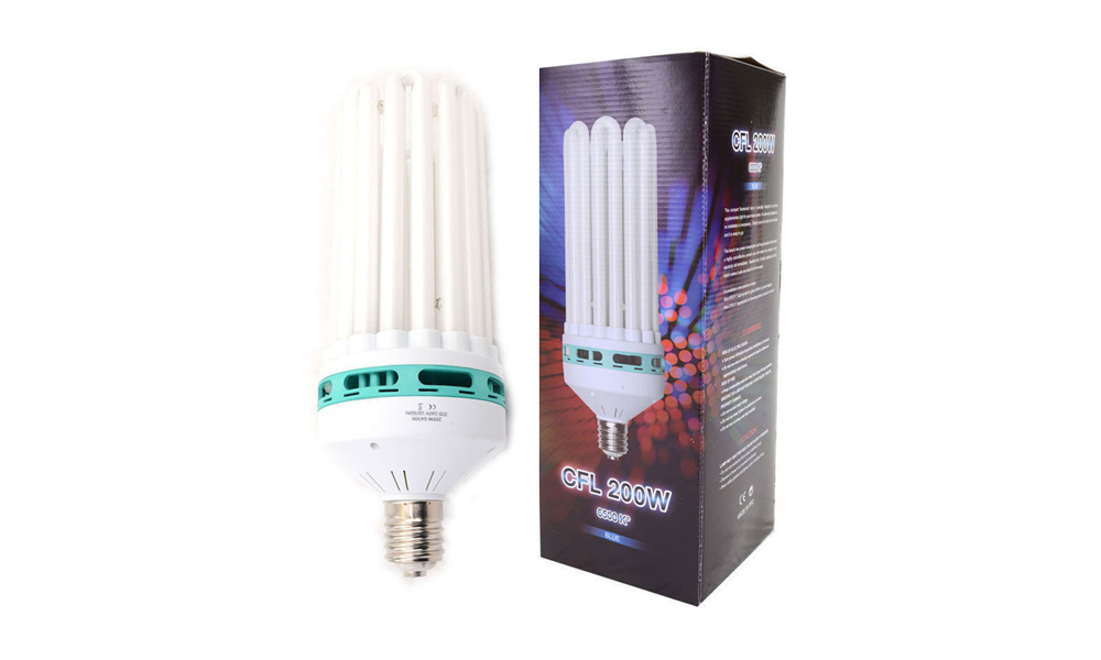 CFL Bulbs