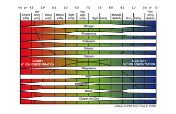 pH Balance and Plants in Hydroponics