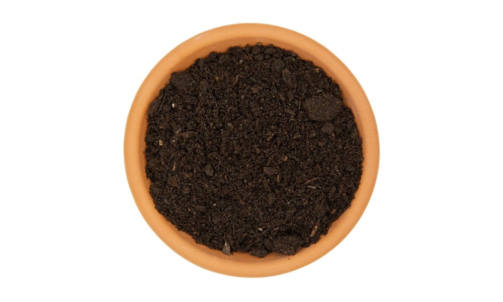Worm Castings