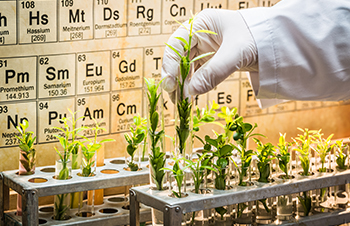 The Essential Plant Nutrients