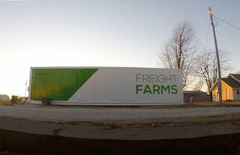 Freight Farms allows crops to be grown inside shipping containers