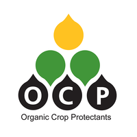 OCP