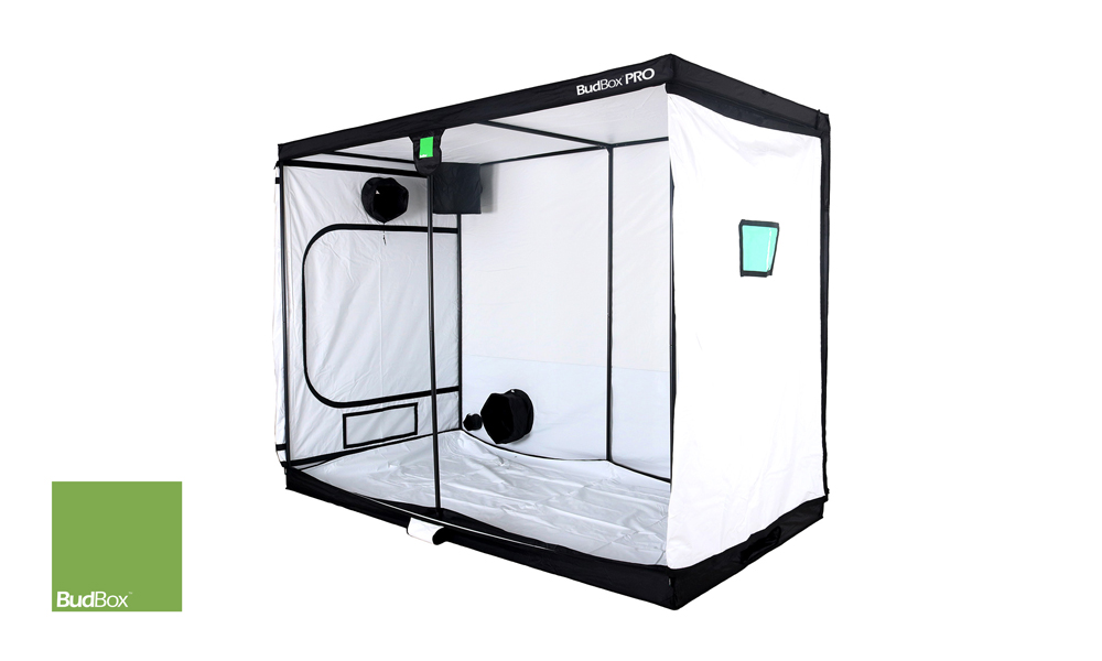 BudBox Pro - White