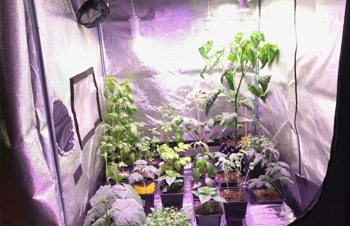 Everything You Need to Know About Ventilation, Temperature, Humidity & Co2