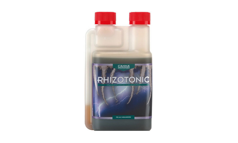 Root Care