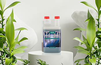 Canna Rhizotonic