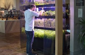 You don't have the freshest herbs in your restaurant ? Your are out of date!