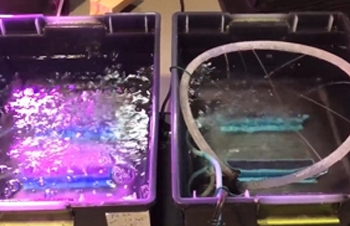 Airstone vs Aeroponics - Something Overlooked...