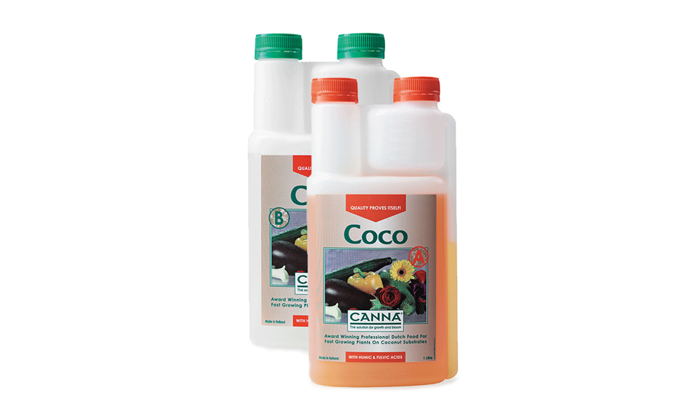 Coco