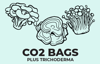 Give Plants a Boost - Mushroom Experts CO2 Bags with Trichoderma