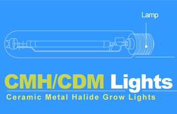 CMH/CDM Grows Lights