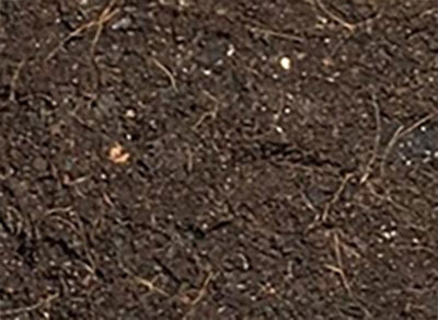 Living Soil