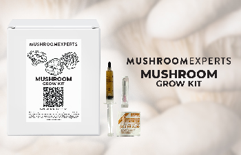 Mushroom Experts Mushroom Kit Ingredients: A Complete Overview
