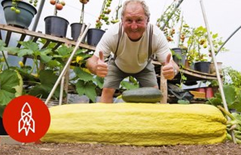 In the south of Wales one man has unlocked the secrets to growing big vegies