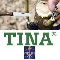 Tina