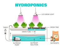 Ultimate Guide to Choosing the Best Water Pump for Your Hydroponic System