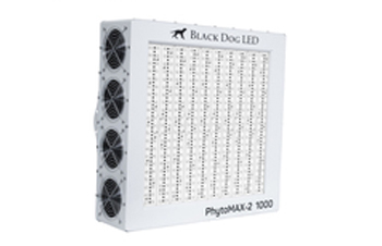 Black Dog Phytomax LED Grow Light Test & Review