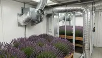 Grow Room & Hydroponic Ventilation Basics (Humidity, Odour & Heat Control)
