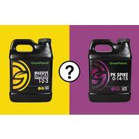 Should You Use Massive or PK Spike?