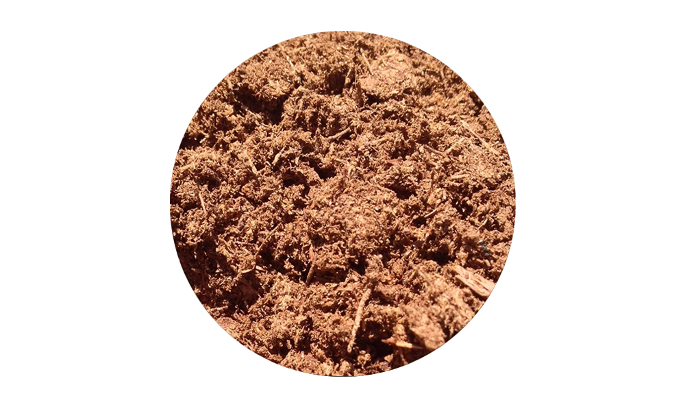 Peat Moss