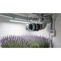 How to Reduce Exhaust Fan Noise in Grow Room Without Losing Airflow