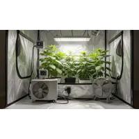 Grow Tent Heaters with Thermostat: Why Temperature Control Is Important for Healthy Growth