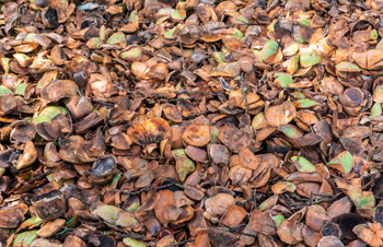 How to use Coco Coir as a concept