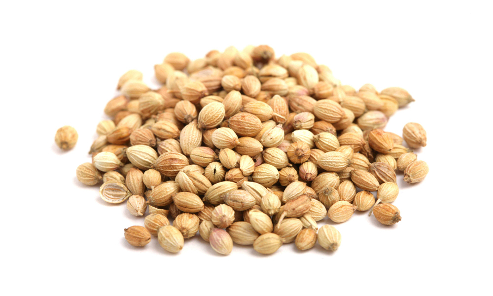 Vegetable & Flower Seeds