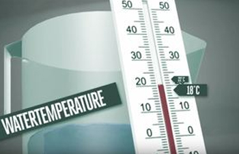 Water temperature for plants, What is too hot? What is too cold?