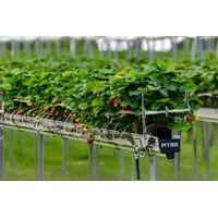 How to Prevent and Troubleshoot Clogged Drip Lines in Your Hydroponic System