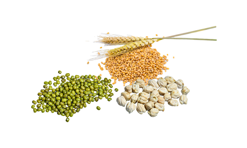 Grain, Legume & Other