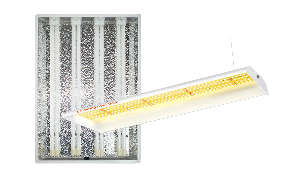 Grow Lights for Micorgreens