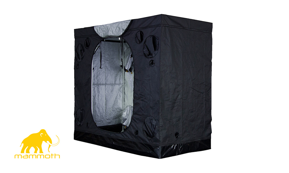Mammoth Tent