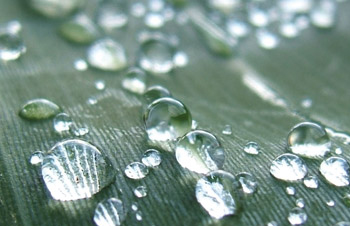Ten watering rules of thumb