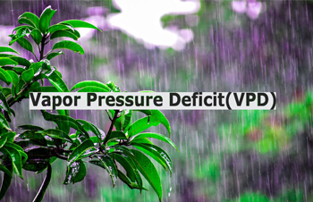 Important Of Vapor Pressure Deficit (VPD) For Growing Plants | VPD Calculator