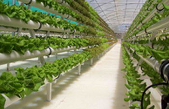 Nominal EC and pH Values for Hydroponic Crops