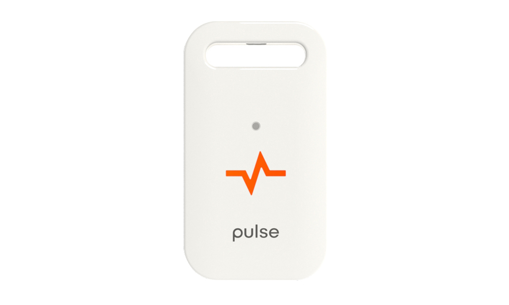 Pulse